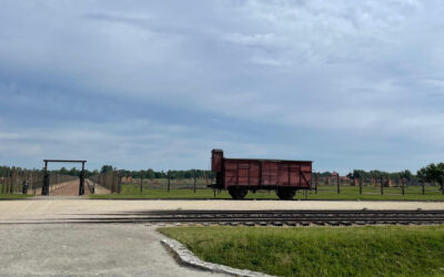 Auschwitz Bildungsreise 2024