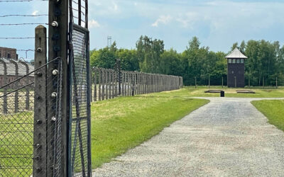 Voices After Auschwitz
